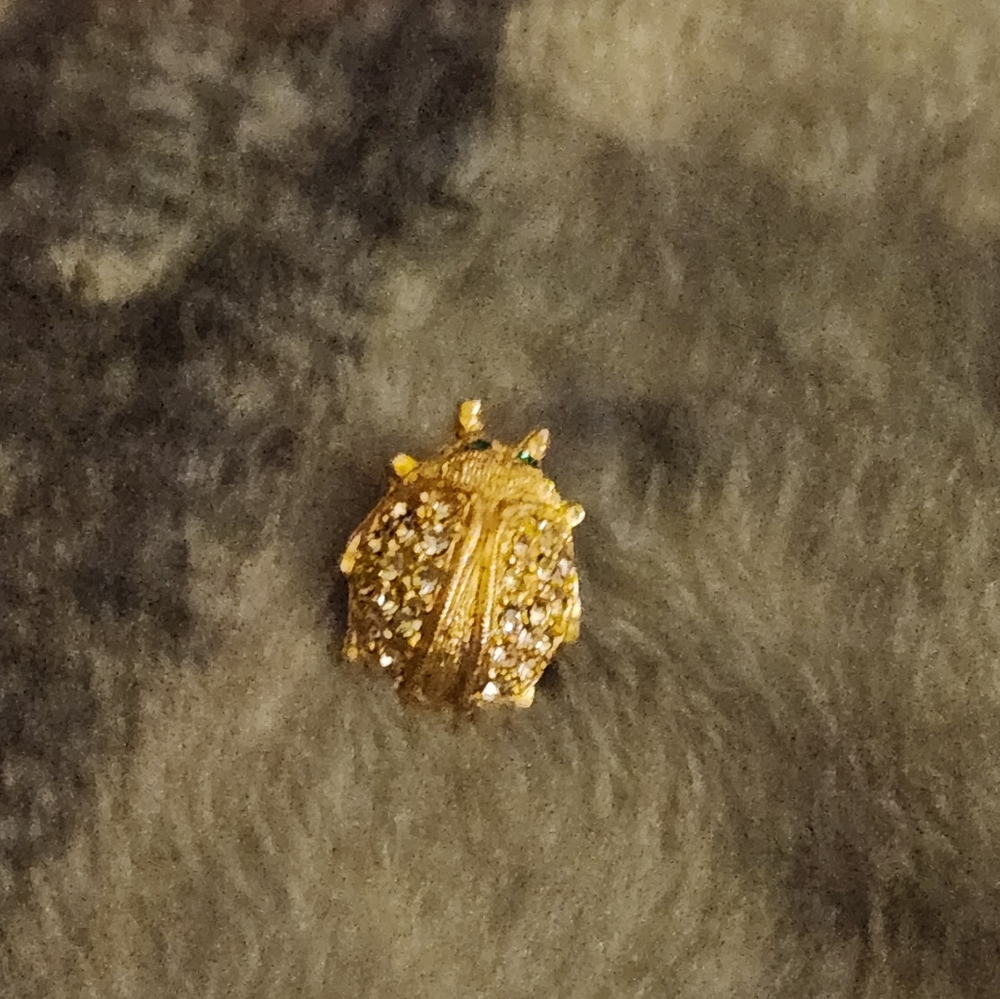 Lady bug pin  clear back with green eyes